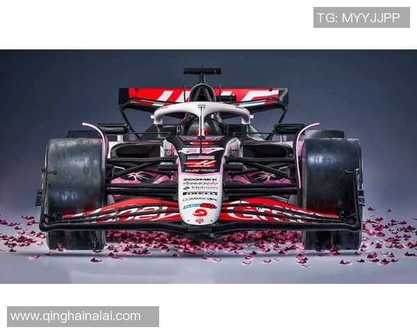 F1赛季技术规则变动对车队竞争格局与适应策略的深度解析