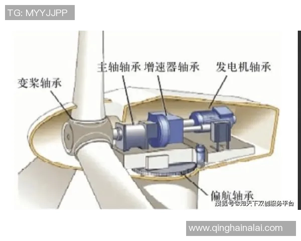 体育产业链全景深度解析：从基础设施到生态体系的全面剖析